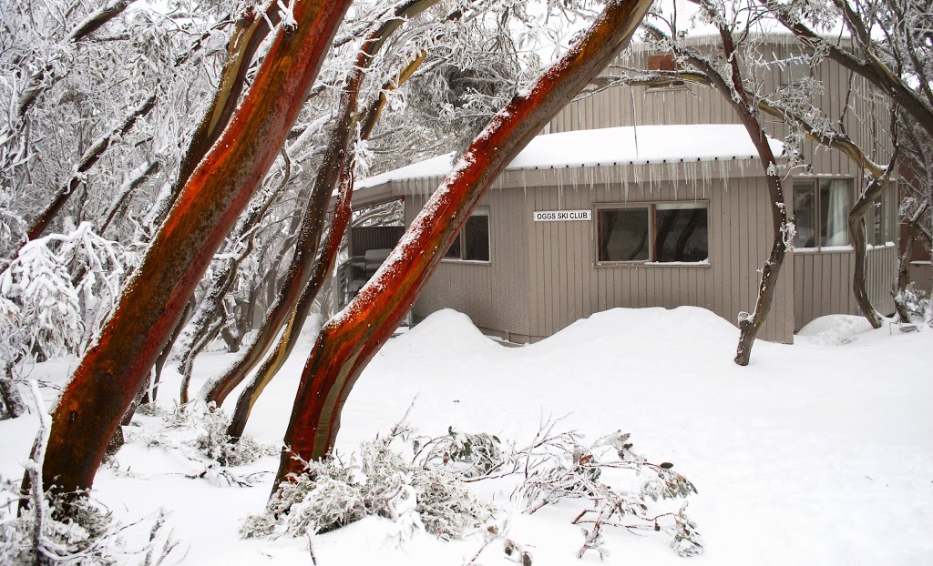 OGGs Lodge on Mount Buller in snow